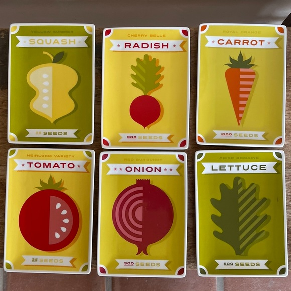 CRATE & BARREL 6 Small Plates for Gourmet Dishes Vegetables Fruits Picture Nice! - Picture 11 of 11